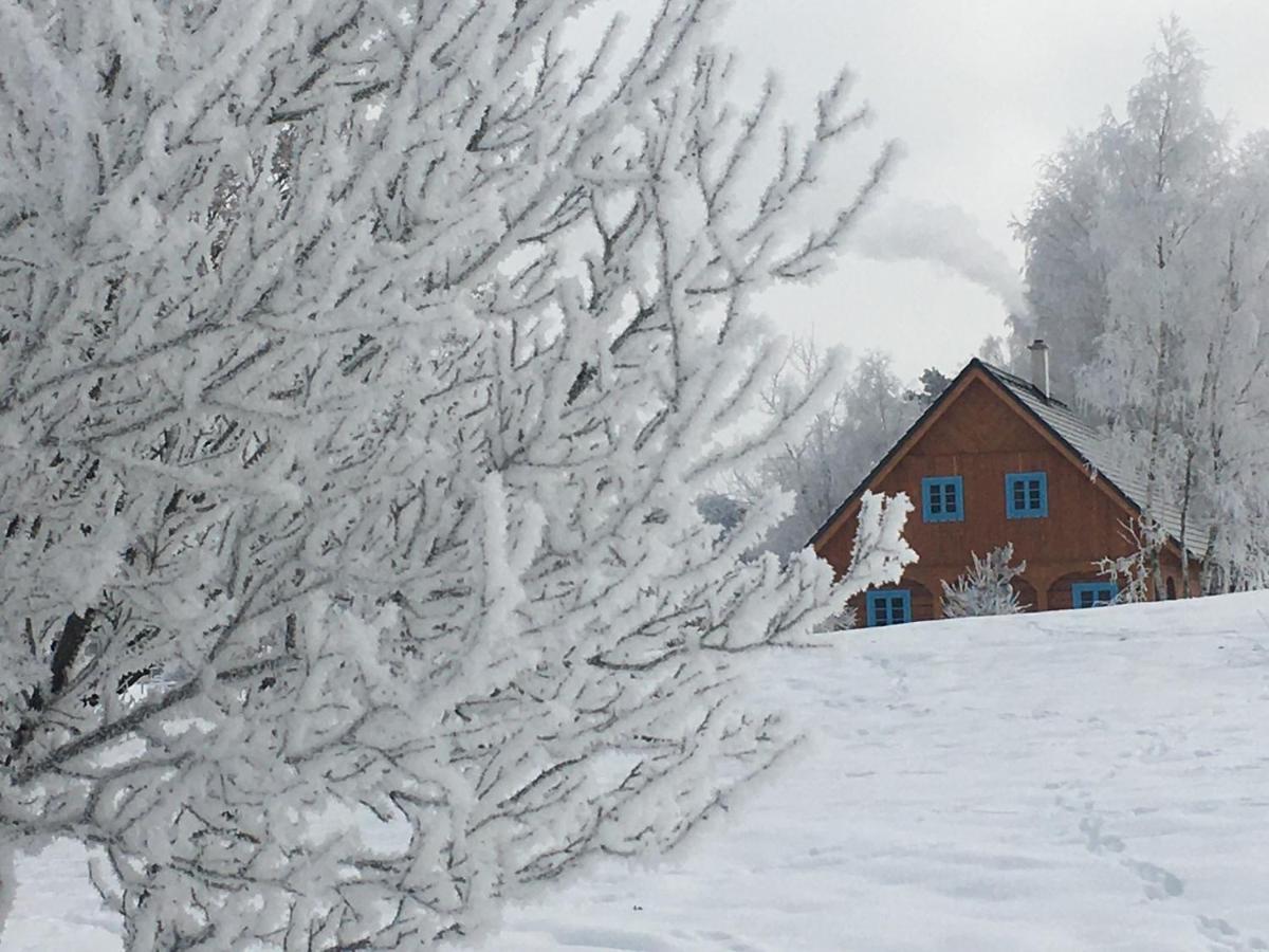 Roubenka Kokorinsko Villa Dubá Dış mekan fotoğraf